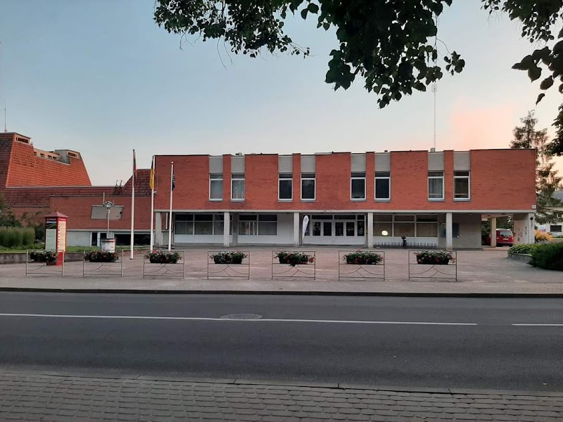 Motinos dienos koncertas