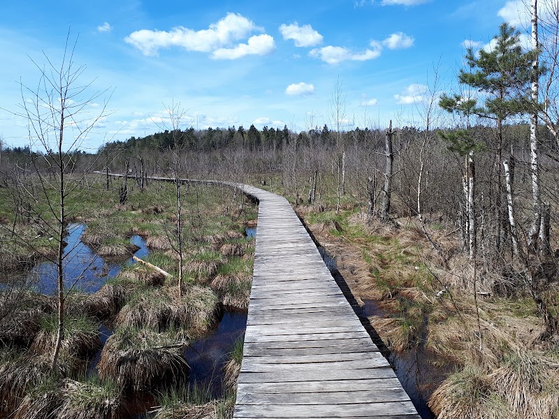 Dubravos hiking trail