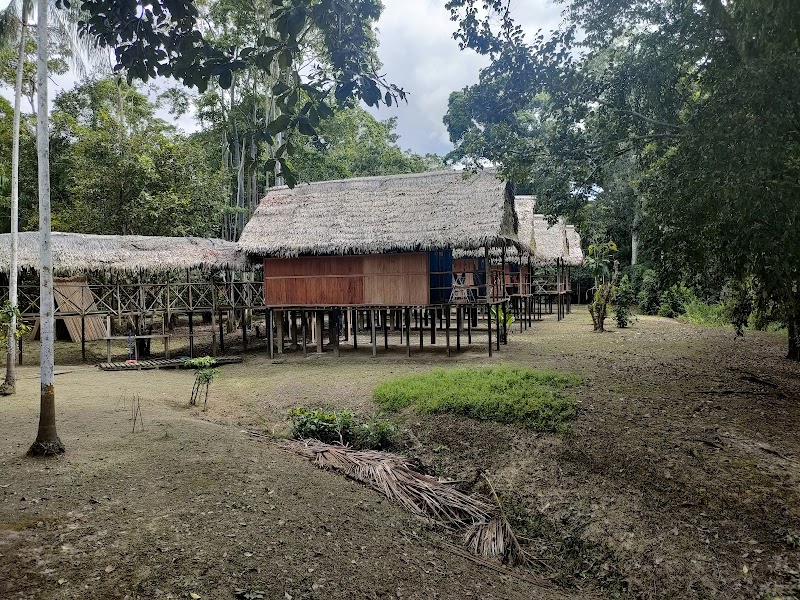 Amazon Symphony Lodge