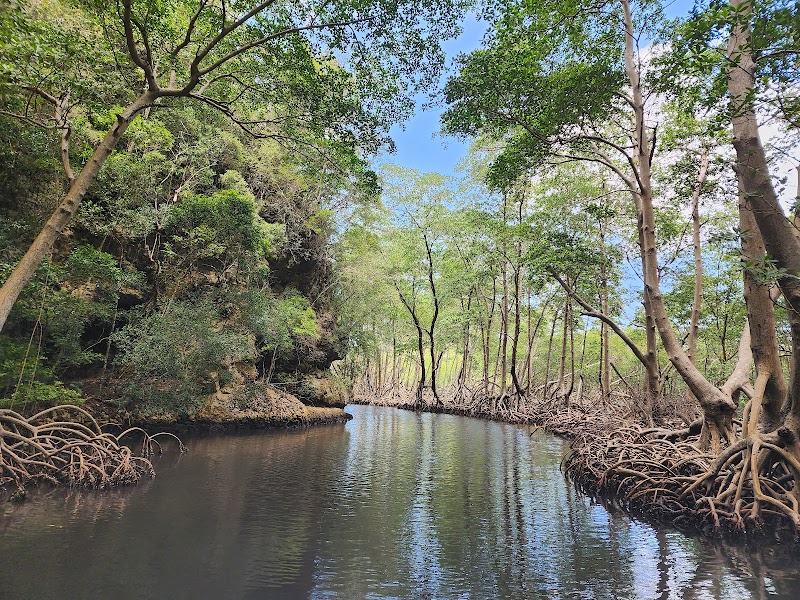 Excursion al Parque Nacional Los Haitises