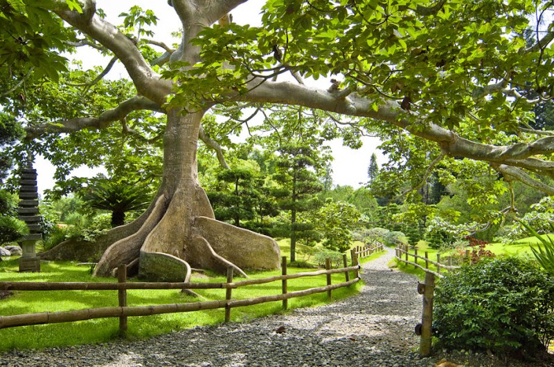 Jardin Botanico Nacional Dr. Rafael Maria Moscoso
