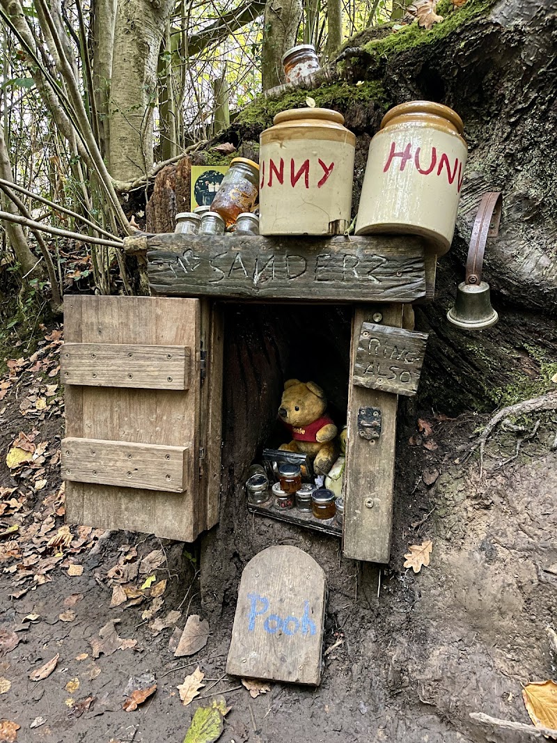 100 Anos de Winnie-The-Pooh
