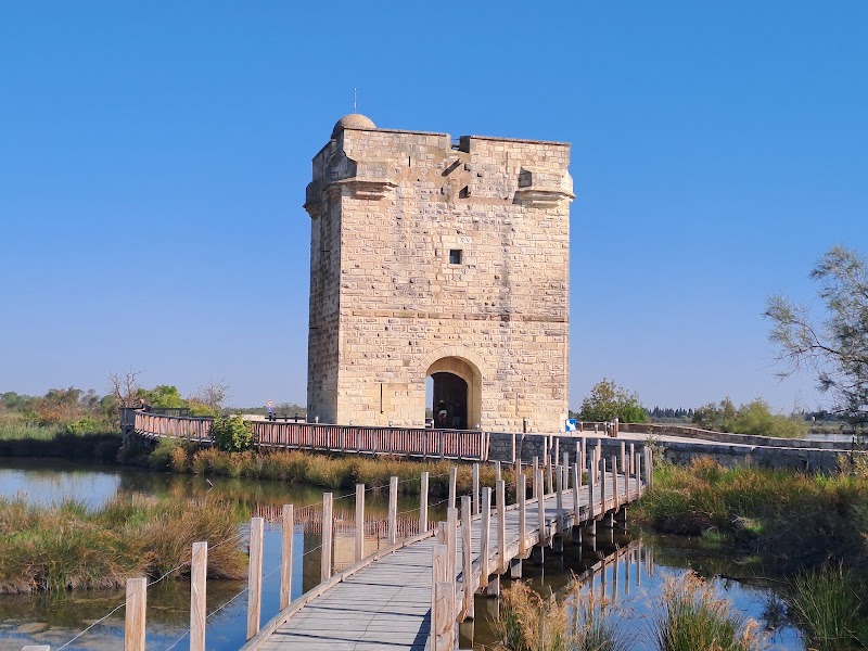 Aigues-Mortes - Avril
