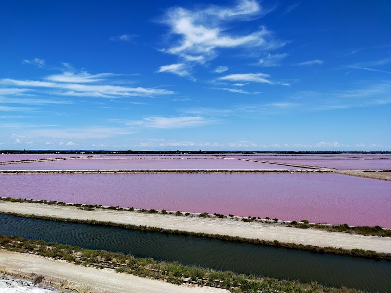 Le petit train des salins d'Aigues Mortes