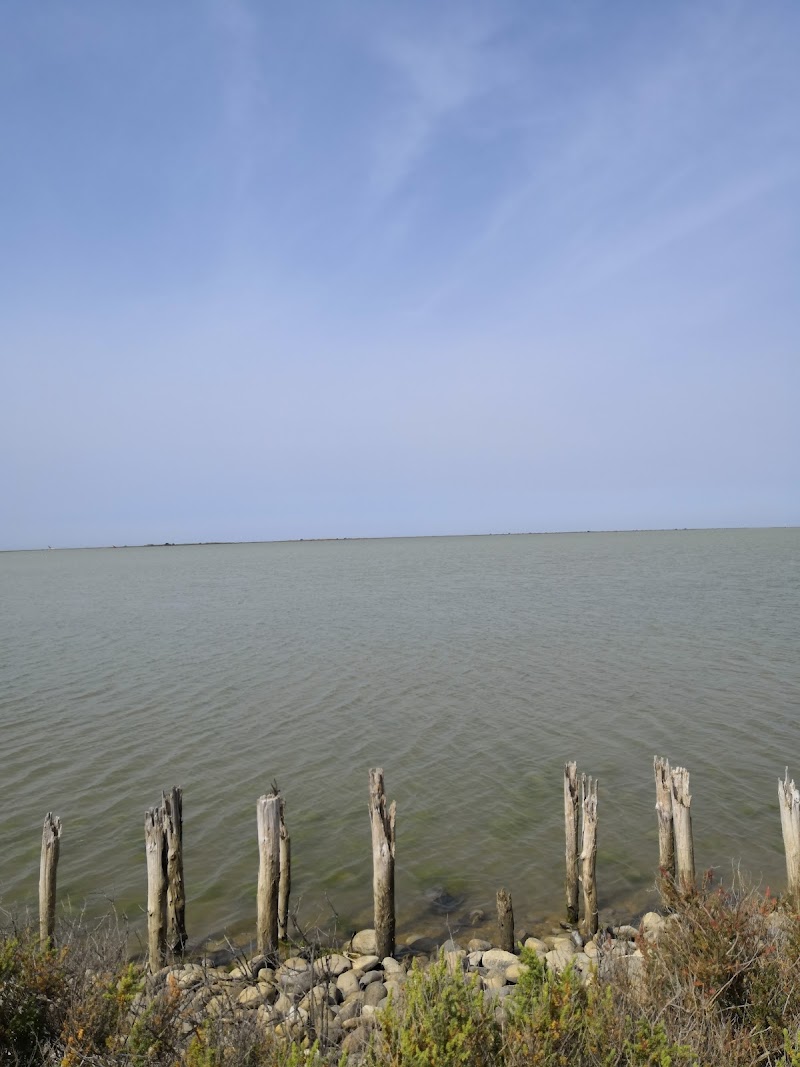 Etang du Fangassier