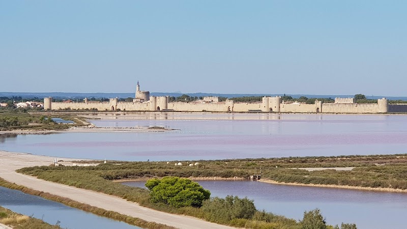 Marais salant de Salins