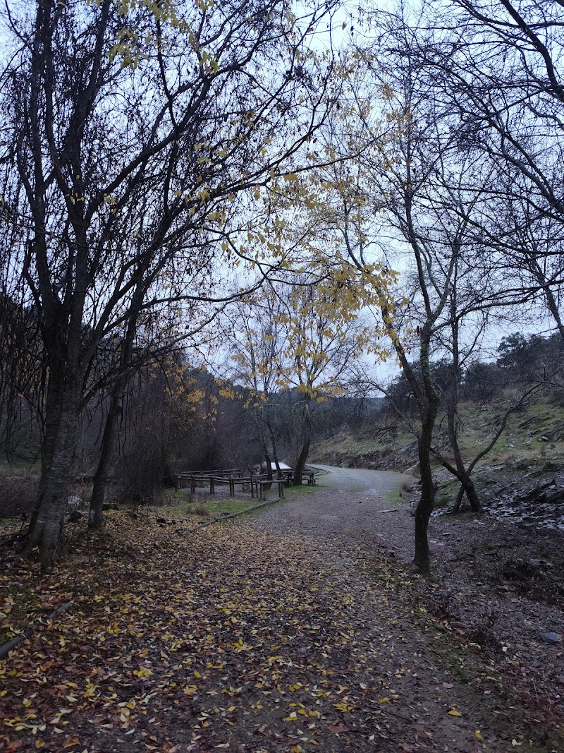 Ruta Cerro Gimio
