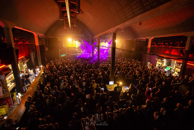 Rata Blanca