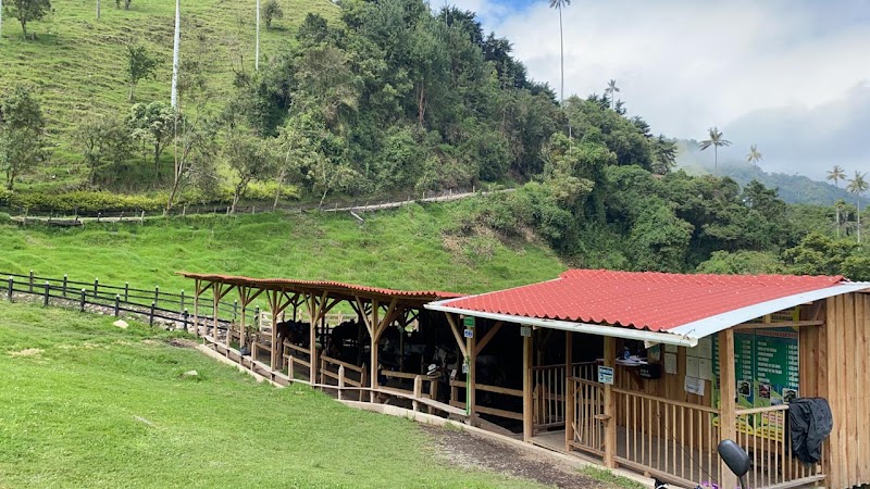 Cabalgata por el valle