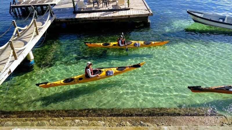 Paseo en kayak o paddleboard