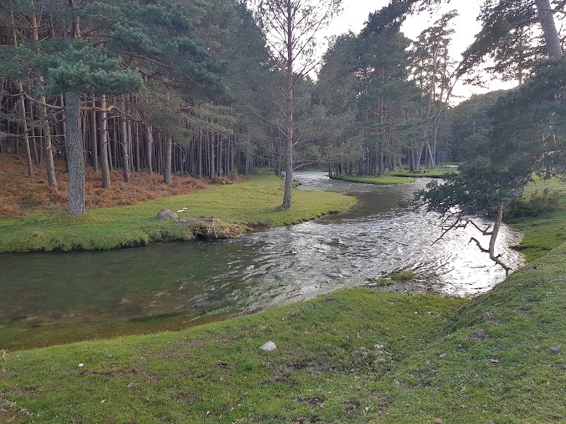 Paseo por el rio Arlanza