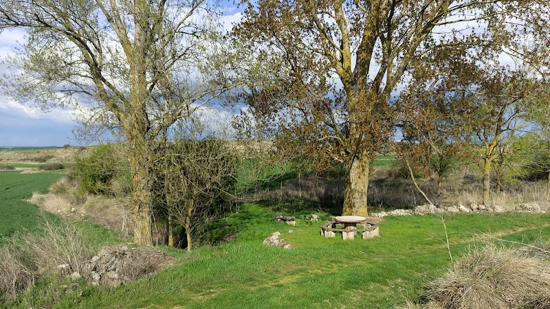 Picnic en la naturaleza (llevar comida)