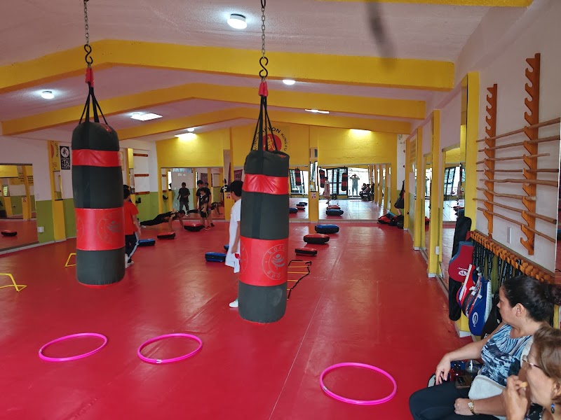 KUNG FU - WUSHU TUXTLA