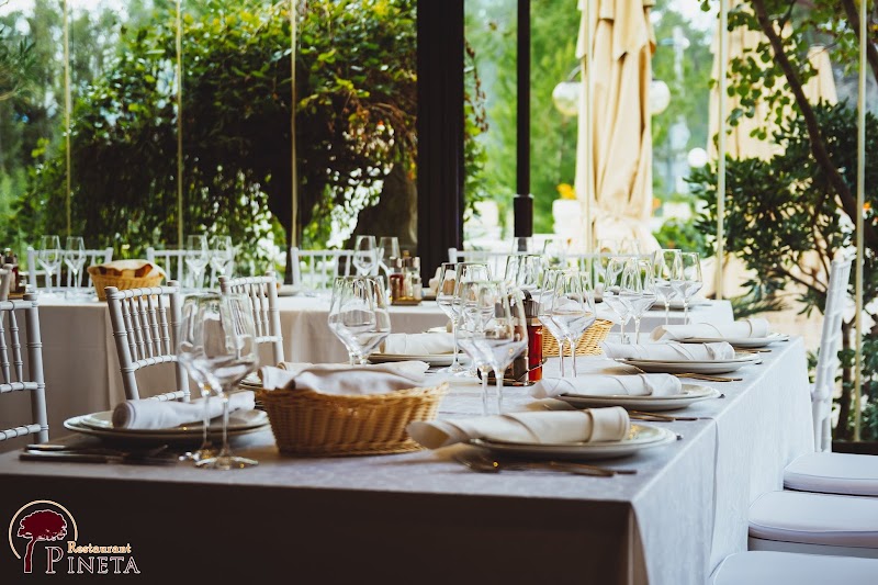 Restaurant Pineta