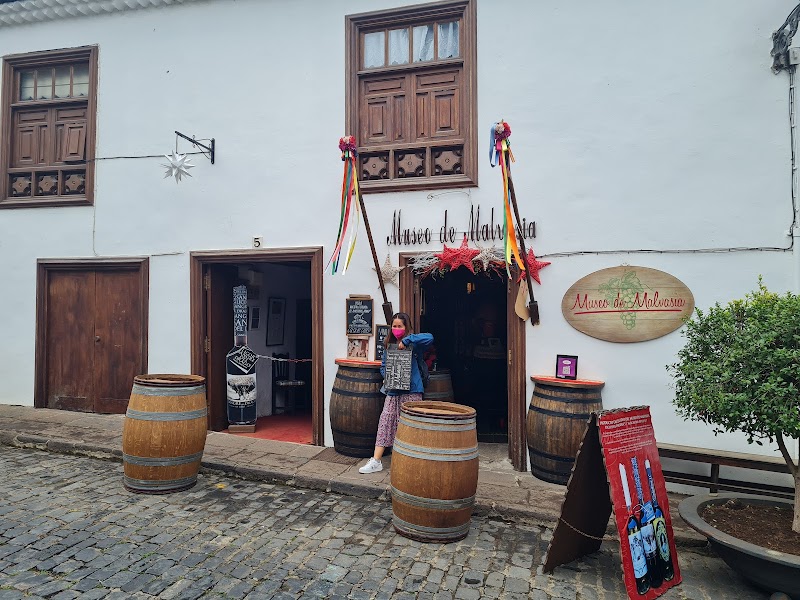Museo de Malvasía