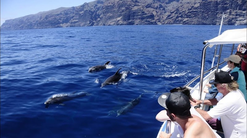 Paseo Marítimo de Los Gigantes