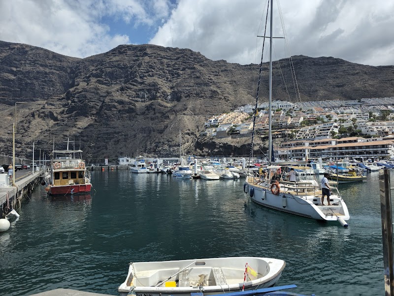 Paseo por el Puerto Deportivo