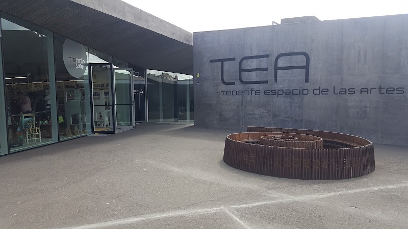 Bienal Contemporánea TEA 2024: La proclama herética