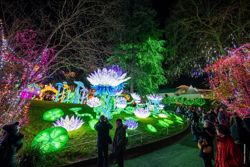 Festival des lanternes de Da Nang