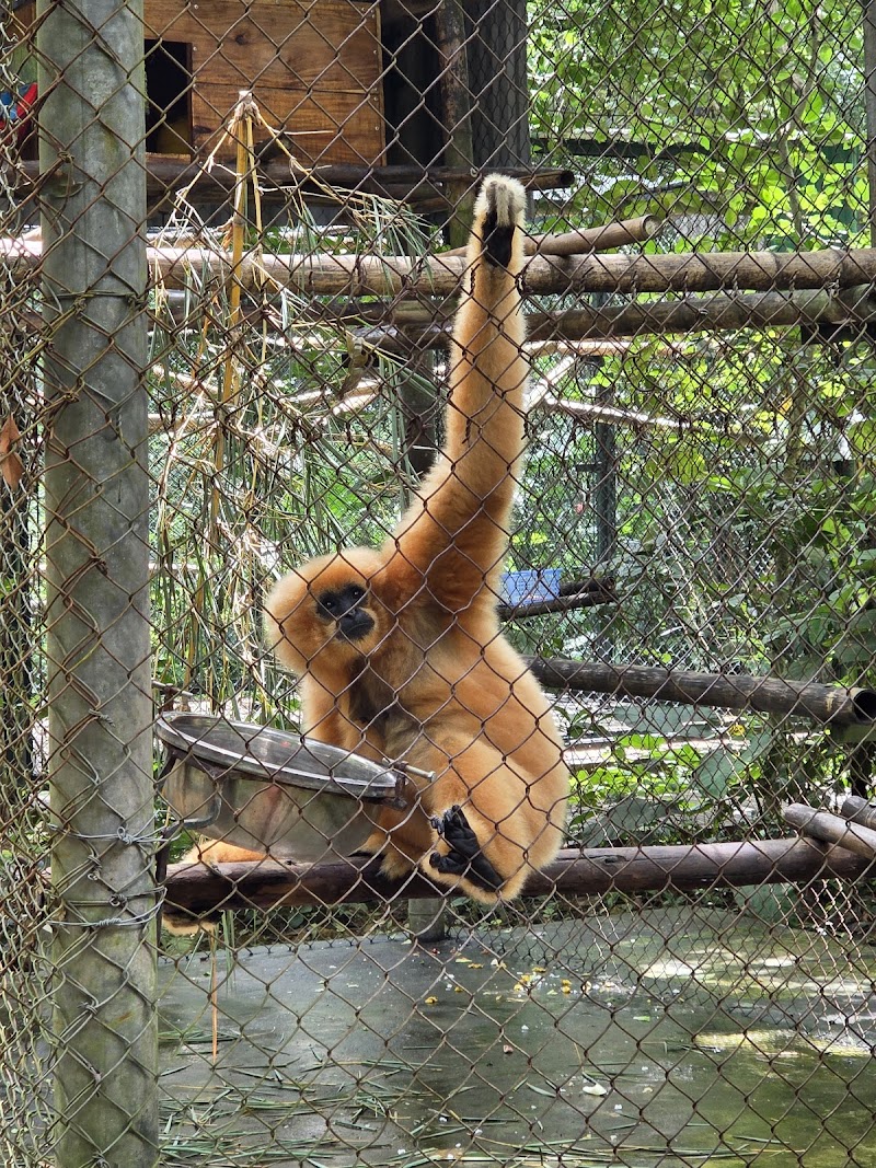Endangered Primate Rescue Center
