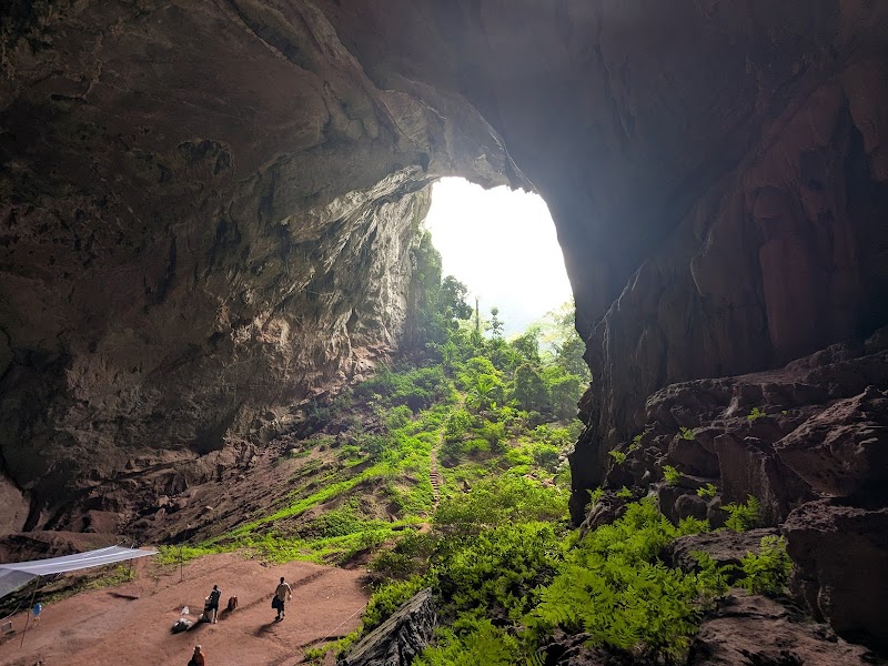 Jungle Boss Trekking Tours Headquarters