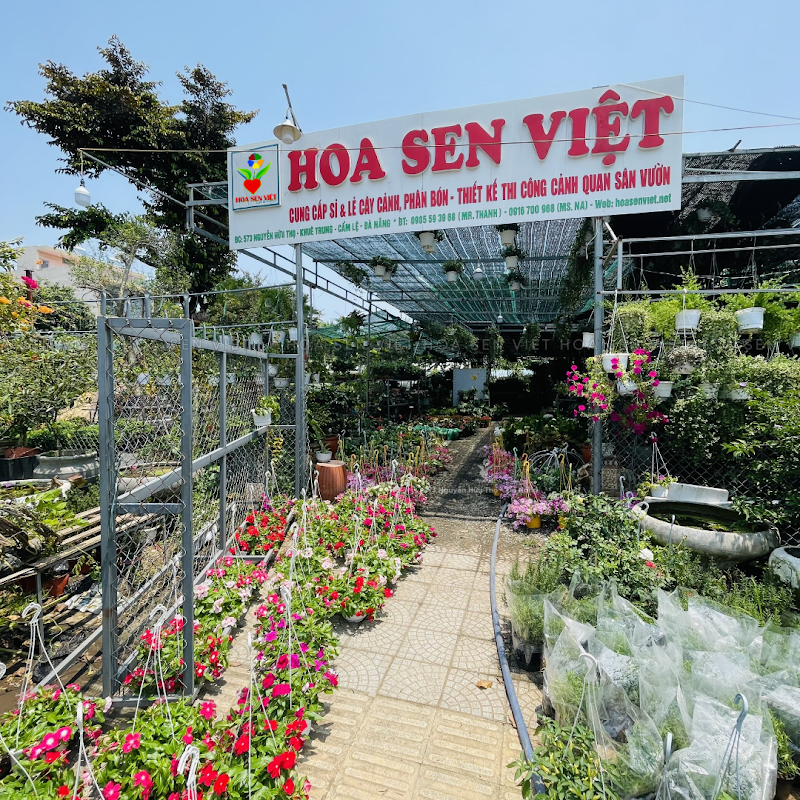 Company Limited Green Tree Landscape Lotus Vietnam
