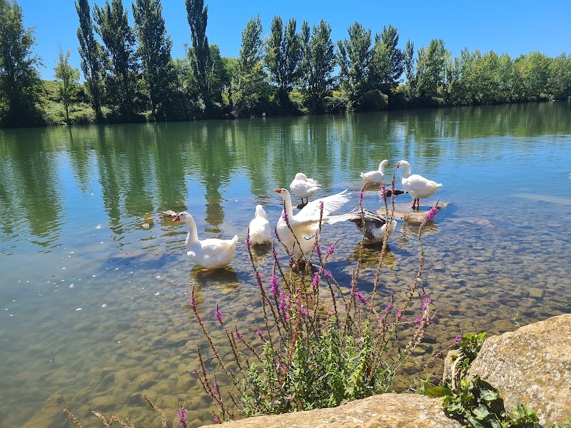 Paseo por el casco histórico de Briñas