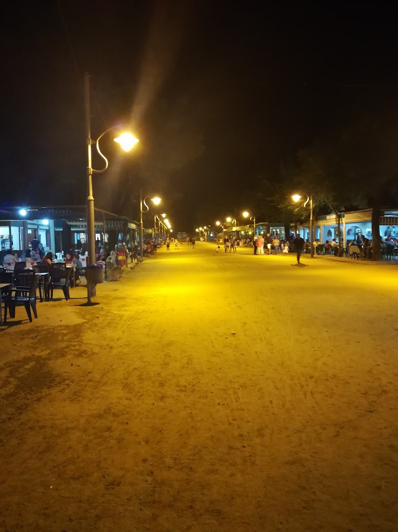 Paseo por el Paseo Alfonso XIII