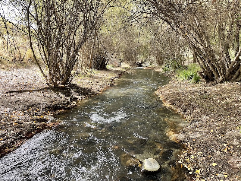 Paseo por el entorno del río Genil