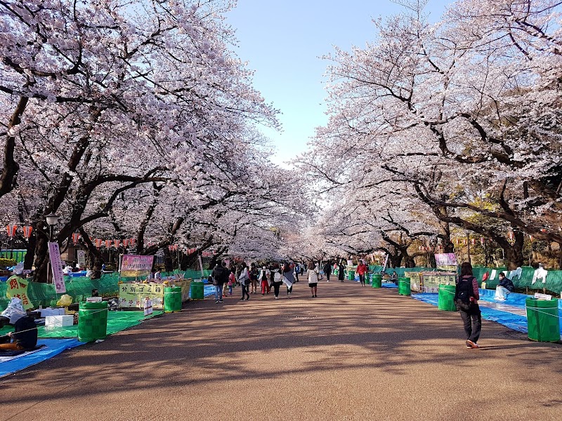Tarda lliure a Ueno Park