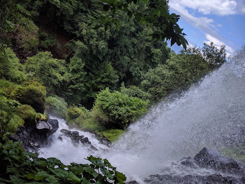 Excursió de natura a Tateshina