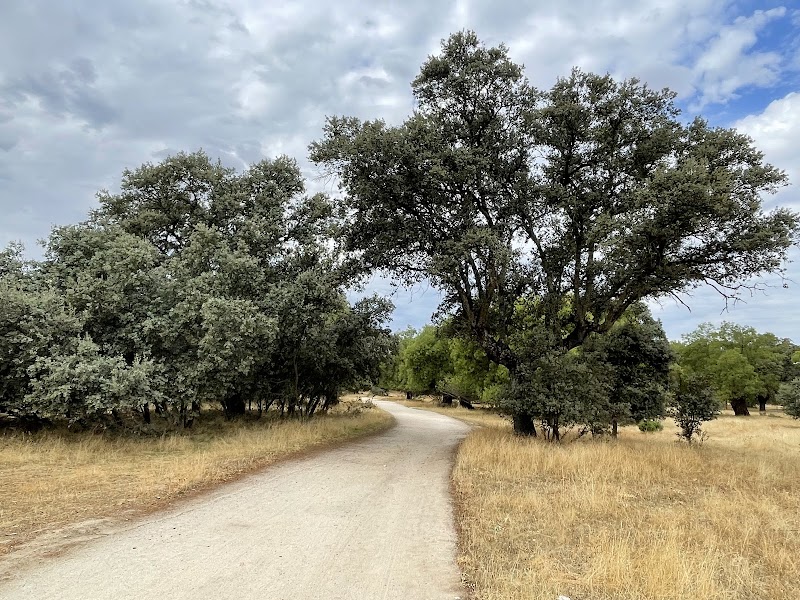 Ruta por la Senda del Monte de Boadilla