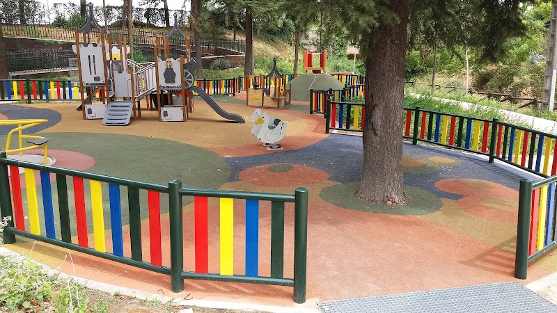 Morning Walk at 'El Caño' Park