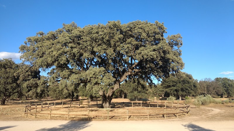 Senda del Arroyo de la Fresneda晨间徒步