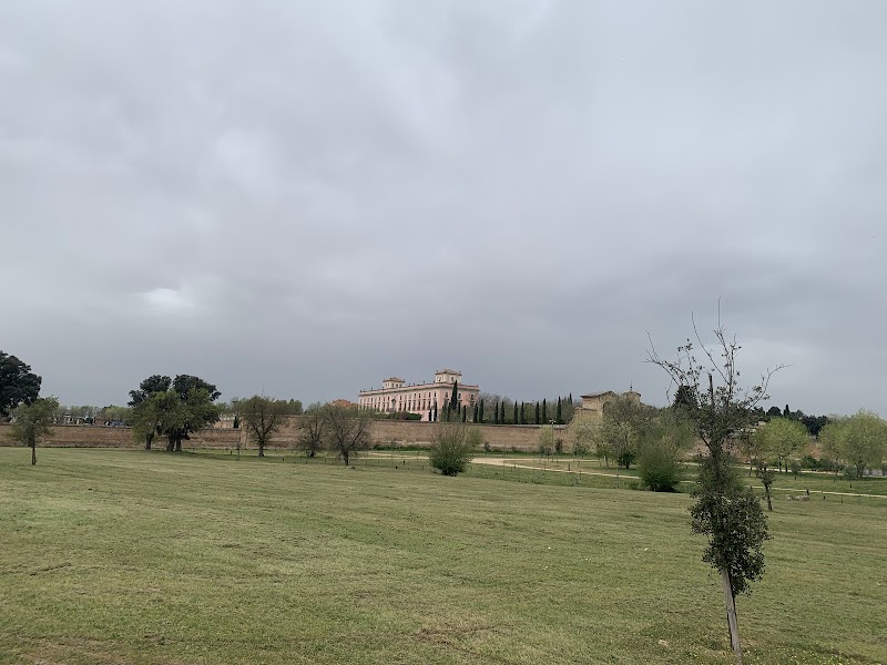 Aperitivo al Mirador del palacio