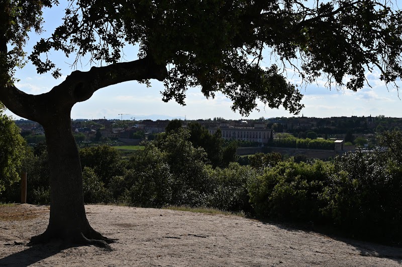 Passeggiata romantica al Mirador del palacio (Monteprincipe)