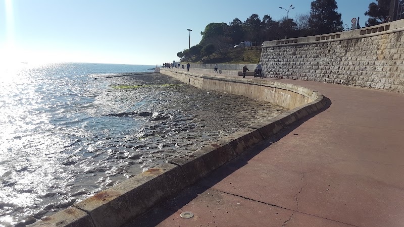 Mañana en Praia da Laje