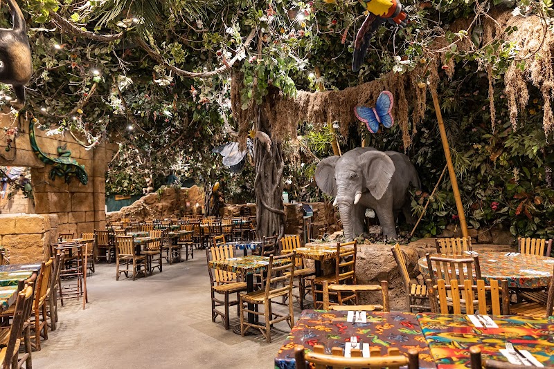 Cena en Rainforest Café (Disney Village)