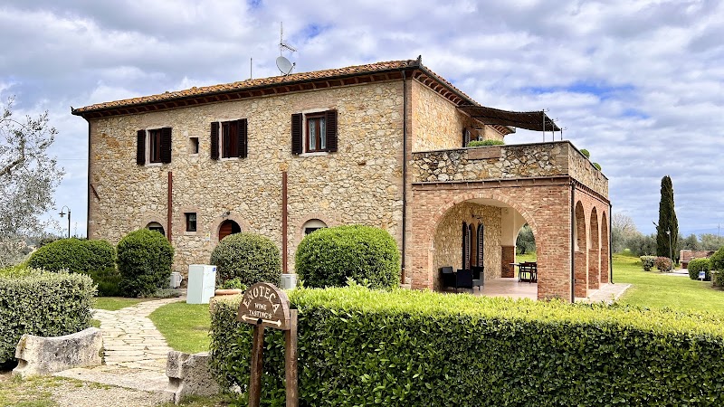 Recorrido por la Toscana y visita a viñedos