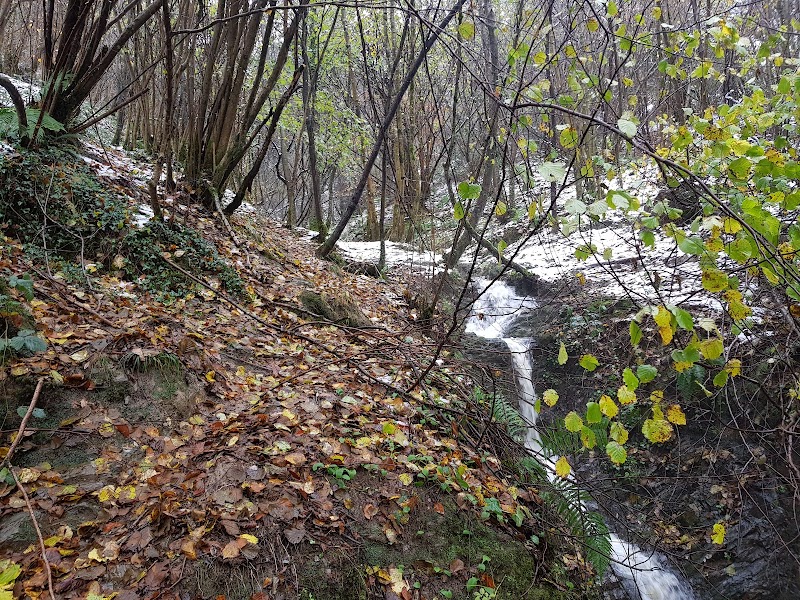 Altamiragoikoa