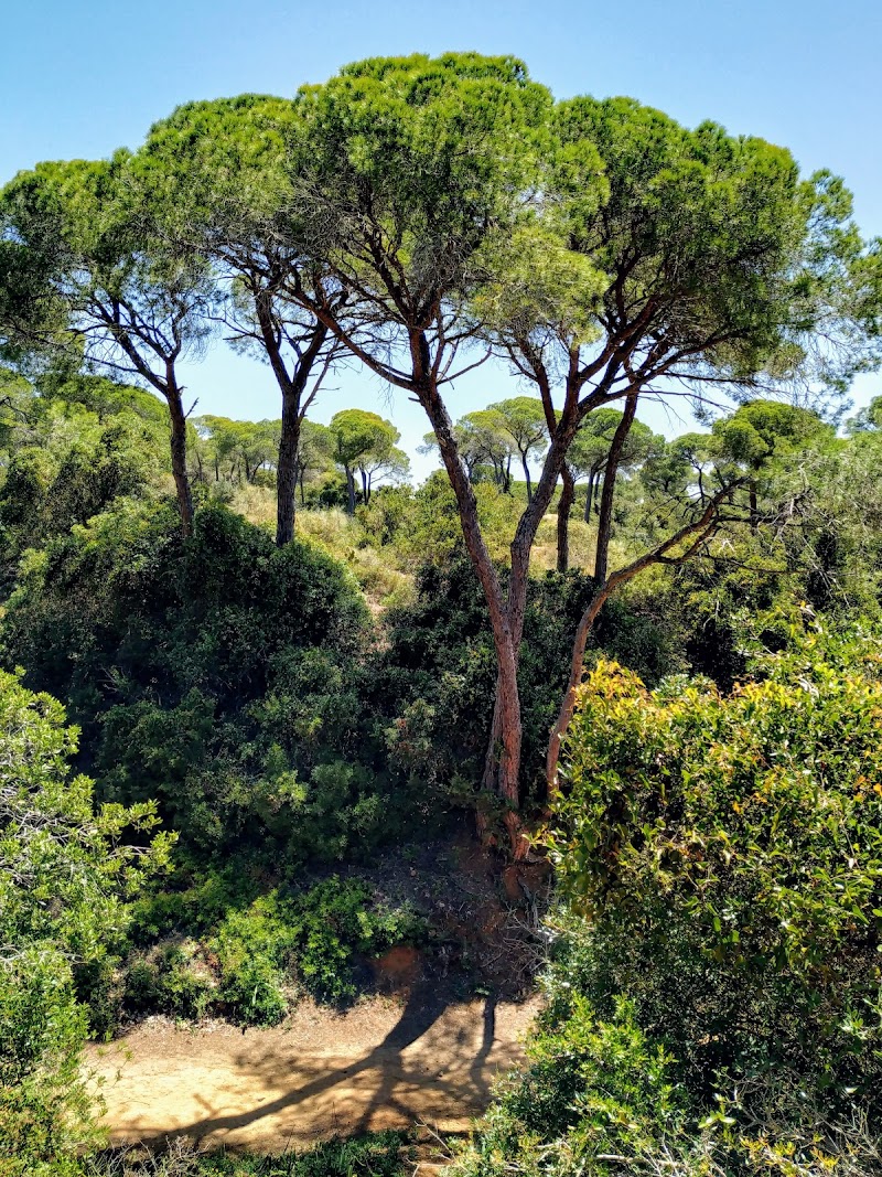 Paseo por el Parque Natural de las Canteras