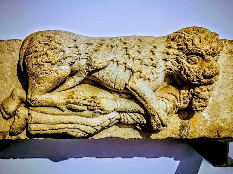 Visita al Museo de Arte de Girona