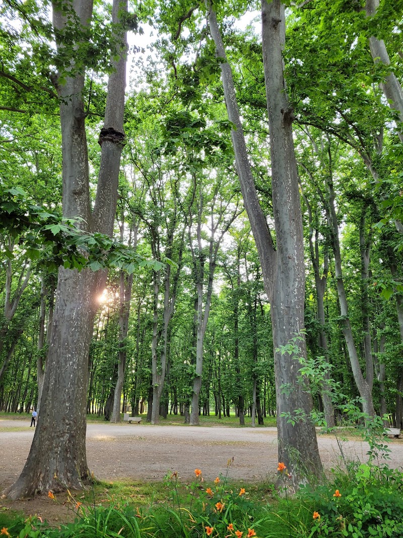 Paseo por el Parc de la Devesa