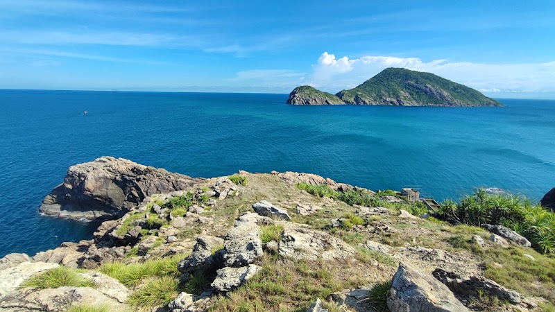 Firmiana Simplex Festival (Cham Islands)