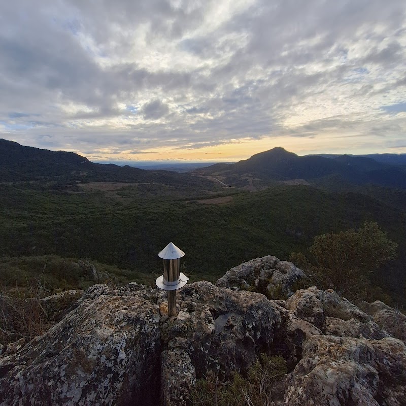 Setas y micología en Monte San Juan