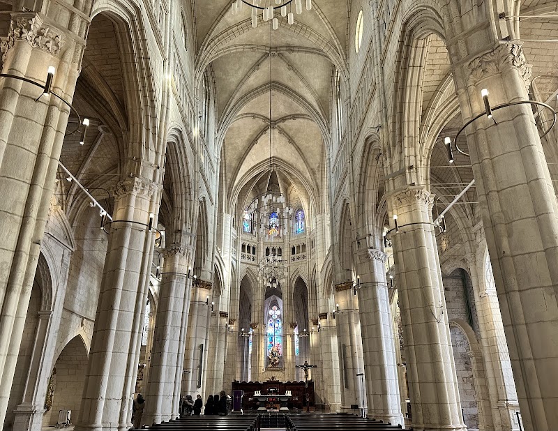 Visita guiada a la Catedral de Santa María