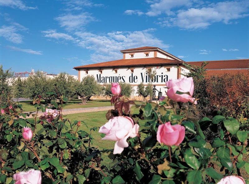Excursión a Bodegas Marqués de Vitoria