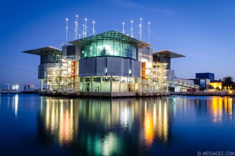 Visita al Oceanário de Lisboa