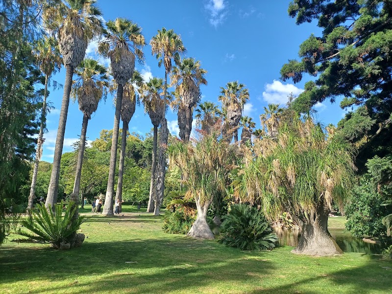 Paseo por el Jardim Botânico Tropical