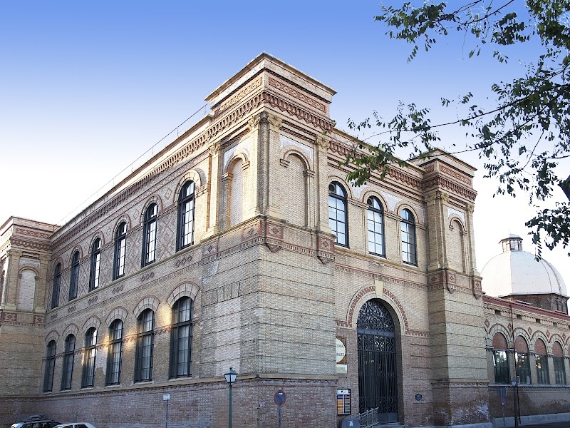 Visita al Museo Nacional de Ciencias Naturales